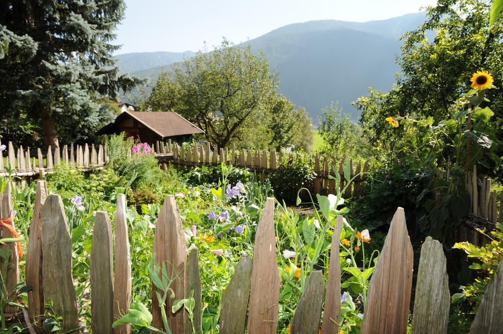Chalet & Appartement Zingerlehof Trens Campo di Trens Exterior photo