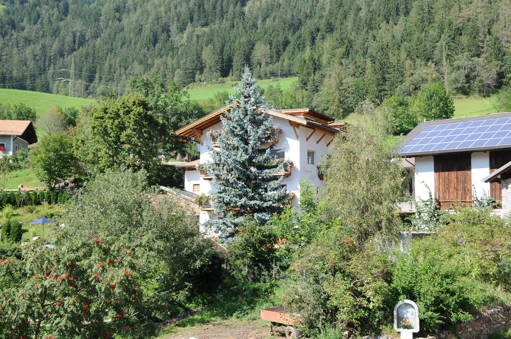 Chalet & Appartement Zingerlehof Trens Campo di Trens Exterior photo